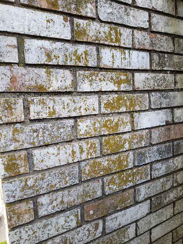 Ables - Original image of chimney staining Chimney with brick staining